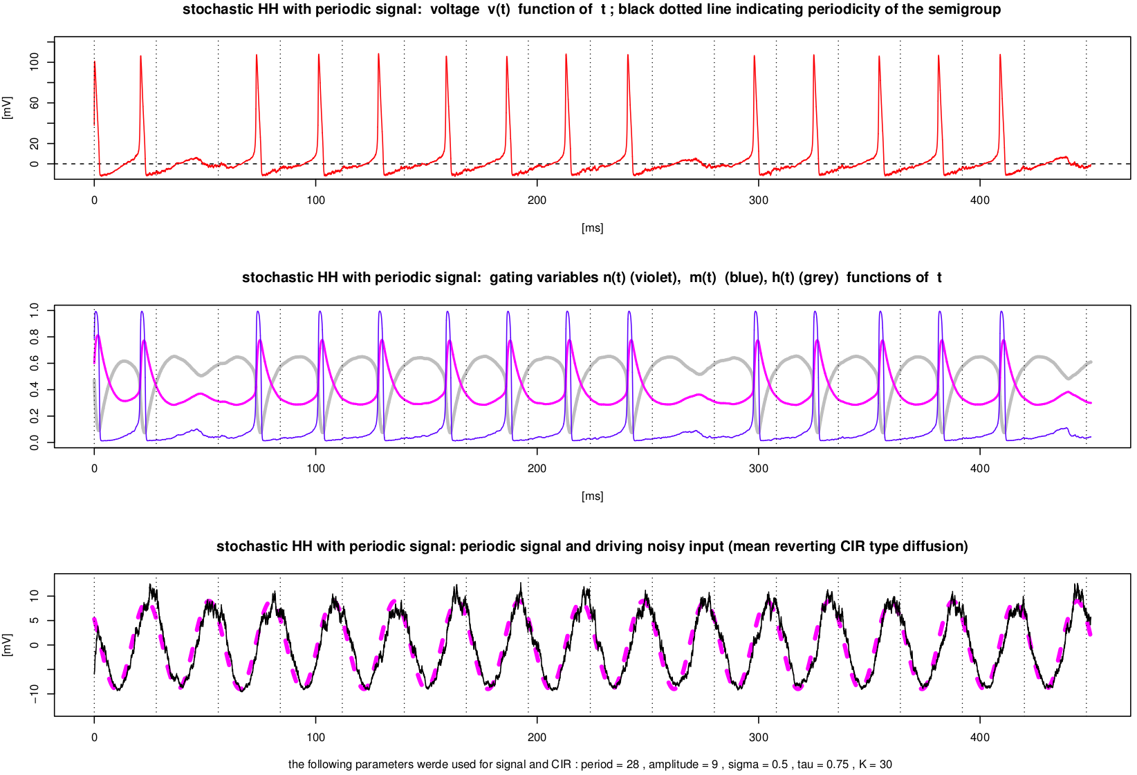Stochastic Hodgkin-Huxley model